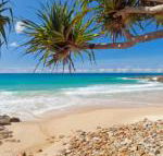 Coolum Classic Beach Shack Pet Friendly - Melbourne Tourism