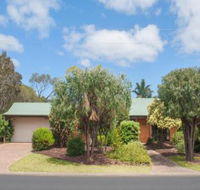 Bottlebrush - Melbourne Tourism