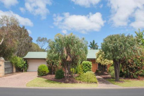Bottlebrush - Melbourne Tourism 0