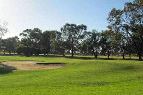 Barmera Country Club Motor Inn - Melbourne Tourism 3