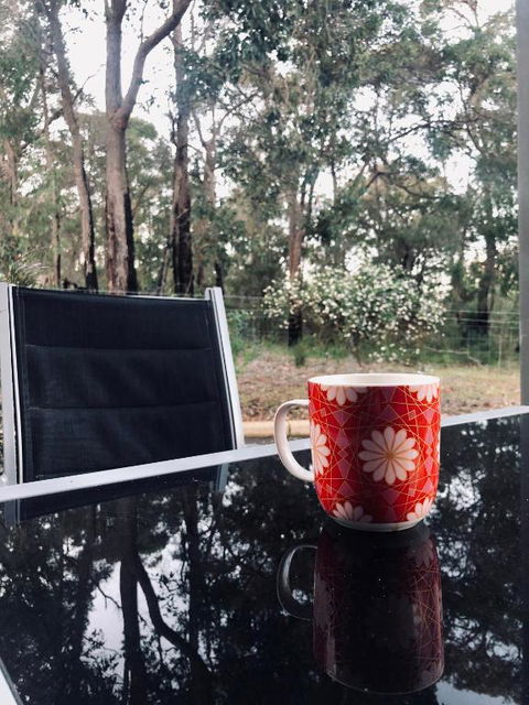 On The Edge Of The Forest - Melbourne Tourism 6