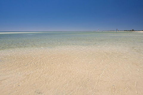 Peppabay - Melbourne Tourism 6
