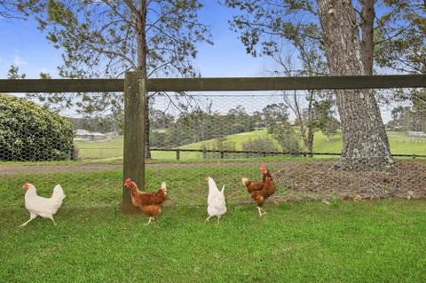 TINY HOME......BIG Views - Melbourne Tourism 6