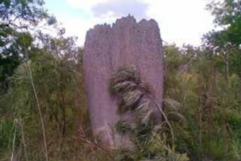 Chalets On Woodlands - Melbourne Tourism 3