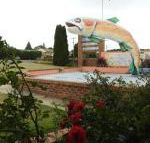 Big Trout Motel - Melbourne Tourism