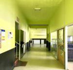 Bigfoot backpackers - Melbourne Tourism