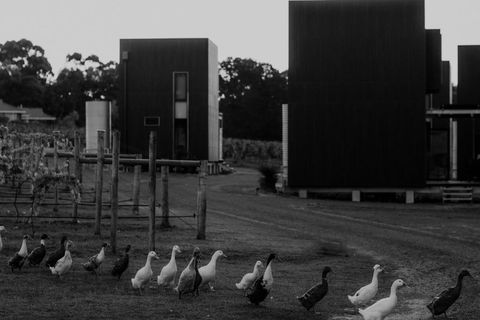Barn Hives Yallingup - Melbourne Tourism 1