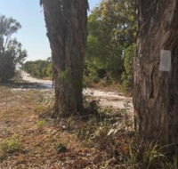 COONARR BEACH  BUNDABERG CAMPING - Melbourne Tourism