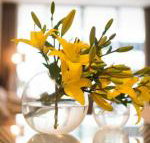 KUI Manhattan Apartments - Melbourne Tourism