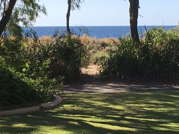 On The Shores Of Geographe Bay - Melbourne Tourism 5