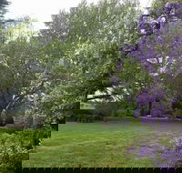 Petersons Armidale Winery  Guesthouse - Melbourne Tourism