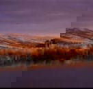 Wombat Hills Cottages