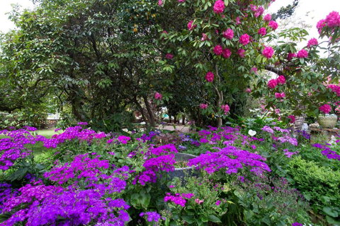 Anabels Of Scottsdale - Melbourne Tourism 2