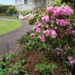 Anabels Of Scottsdale - Melbourne Tourism 0