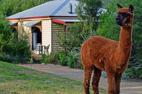Araluen Park Cottages - Melbourne Tourism 6
