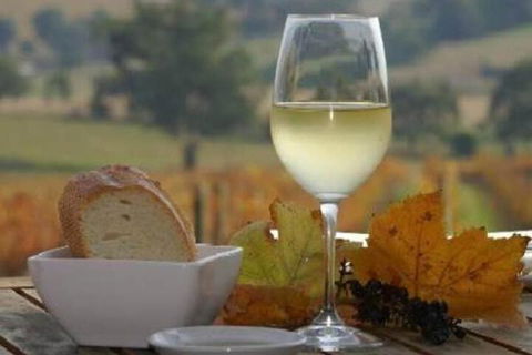 Outlook Hill Pavilion Suites & Spa Cottages - Melbourne Tourism 2