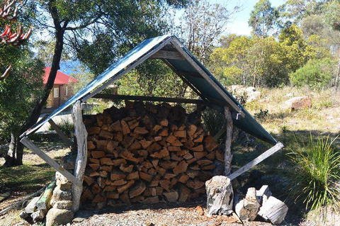 The Tree House - Melbourne Tourism 4