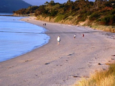 The Tree House - Melbourne Tourism 5