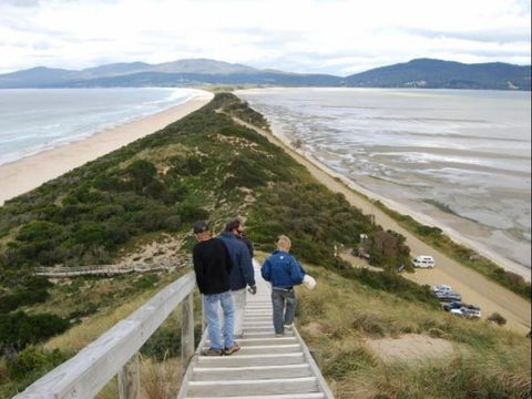 The Tree House - Melbourne Tourism 6