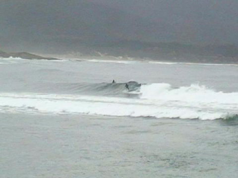 The Tree House - Melbourne Tourism 2