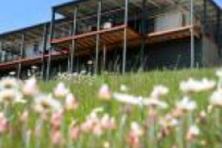 Abels Bay TAS Melbourne Tourism