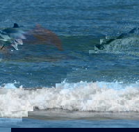 Summerhills Retreat Byron Bay - Melbourne Tourism