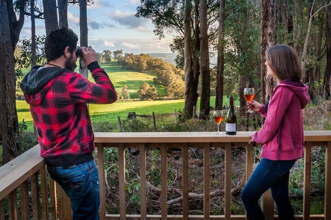 Balingup Heights Hilltop Forest Cottages - Melbourne Tourism 7