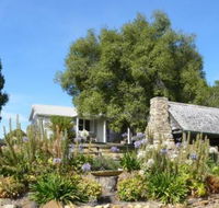 Sassafras Springs - Melbourne Tourism