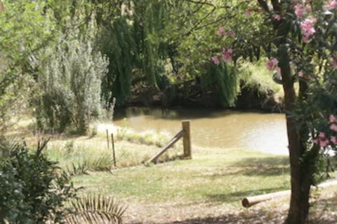 Kellys Motel Oakey - Melbourne Tourism 5