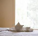 White Lotus Day Spa