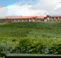 Turners Vineyard Motel and Function Centre - Melbourne Tourism