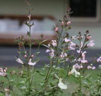Serendipity on Allyn - Melbourne Tourism