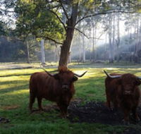 Dingley Dell - Melbourne Tourism