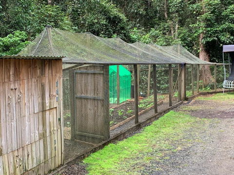 Figtree Getaway - Melbourne Tourism 6