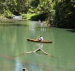 Figtree Getaway - Melbourne Tourism