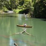 Figtree Getaway - Melbourne Tourism 0