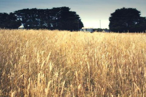 Galwiji Homestead - Melbourne Tourism 6