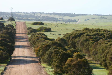 Almonta Park Lodge - Melbourne Tourism 4