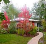 Dalrymples Guest Cottages - Melbourne Tourism