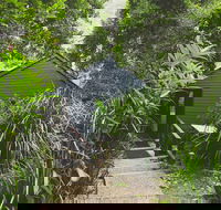 Montagues of Montville - Melbourne Tourism