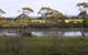 Seal Bay Cottages - thumb 5