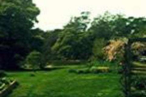 Birdwing Bed & Breakfast Weegena - Melbourne Tourism 0
