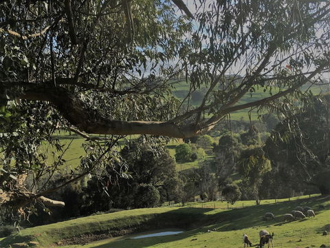 Balingup Highview Chalets - Melbourne Tourism 1