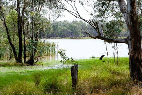 Lydoun Motel - Melbourne Tourism 5