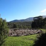 Hawksview At Mafeking - Melbourne Tourism 0