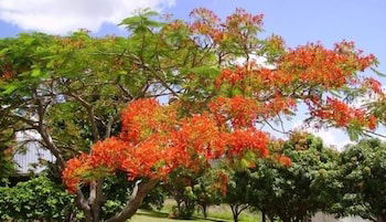 Chatsworth QLD Melbourne Tourism