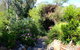 Astley Cottage - thumb 4