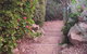 Astley Cottage - thumb 2