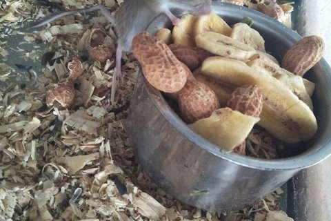 A Twist Of Willow - Melbourne Tourism 6