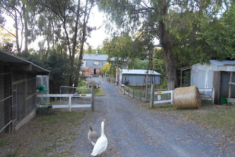 A Twist Of Willow - Melbourne Tourism 1